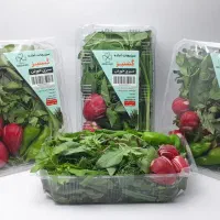 سبزی|خوردنی و آشامیدنی|مشهد, پایین خیابان|دیوار