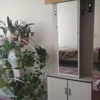 جاکفشی آینه دار ،صندلی چرخ دار