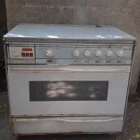گاز فردار جوجه گردن دار
