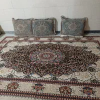 قرش۶متری و۱۲متری