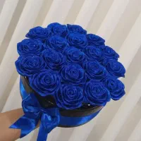باکس روبانی