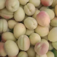 زردالو