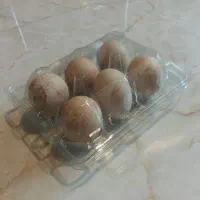 تخم کbک بمب پروتئین  بسته ۶ عددی