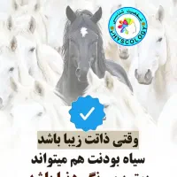 رهنماهی