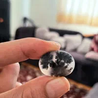 شجر تک درخت روی تپه استثنائ