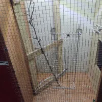 قفس پرنده