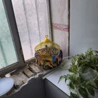 سهره قناری مرغ عشق فنچ عروس کوتوله کفتر مینا