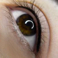آرایش دائم صورت و پلکسر و بوتاکس تضمینی