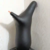 پوست مشکی