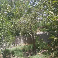 خانه باغ|فروش خانه و ویلا|دهبکری, |دیوار
