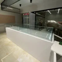 شوکیک فرانسوی،شوکیک رومیزی،یخچال و فریزر