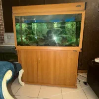 آکواریوم و ماهی