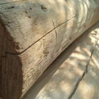 چوب، دار چنار، حمال،