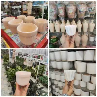 گلدان کاکتوسی سایز کوچک سرامیکی سرامیک ساکولنت