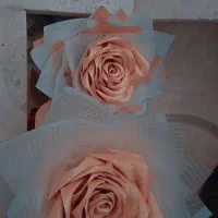 گل های تک شاخه مدل دارمون ۱۲۵ تومن