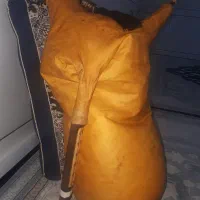 سلام نی انبان درجه یک دست ساز