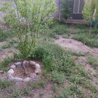 فروش باغچه در خلجان