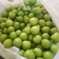 میوه