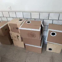 لانه مخصوص گرین چک وملنگو