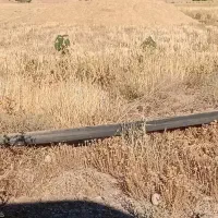 کاه گندم کاکوب امسالی
