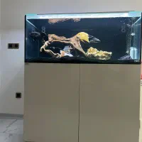 فروش آکواریوم apa اکسترنال به همراه سامپ