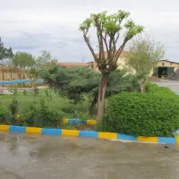 خدمات تشریفات مدیرعامل(آبدارچی )