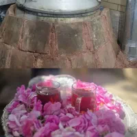 عرقیات گیاهی اصل در شیراز