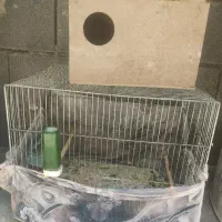 قفس با لونه