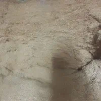 کاه|لوازم جانبی حیوانات|فرمهین, |دیوار
