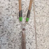 قیچی شمشاد زنی
