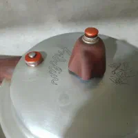 زودپز و تستر