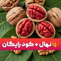 سفارش نهال + ۱۰٪ هدیه و کود رایگان ، سوددهی تضمینی