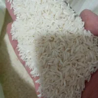 برنج هاشمی سرلاشه و نیم دانه