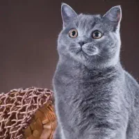 دختر شیطون ملوس