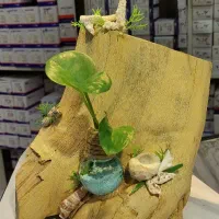 عیدی برای عیدی