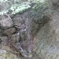 اجاره خونه باغ ویلایی