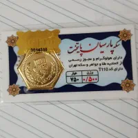 سکه پارسیان