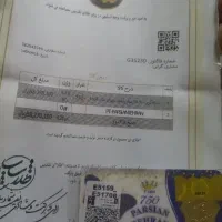 سکه طلا ۰/۲۵ گرم  زیر قیمت