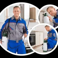 سمپاشی منزل سمپاشی موریانه سوسک ساس با ضمانت کتبی