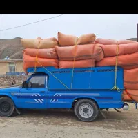 کاه