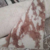 موکت ساده غرض ۳وطول۲۱متر