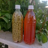 غوره شور و آبغوره عسگری