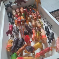 تعدادی اسباب بازی و کمدی کارت