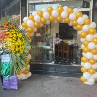بادکنک ارایی