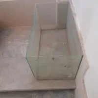 آکواریم
