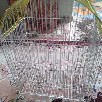 قفس پرنده درحد نو