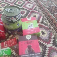 غذا گربه بستنی گربه