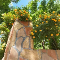 آپارتمان ۹۱ متری ارغوان ۱۶ مجتمع کوهسنگی