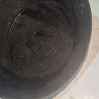 ماهی تازه چون طبیعت