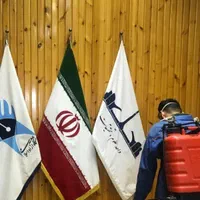 شرکت فوق  تخصصی سمپاشی مهپاشی کنه ساس موریانه